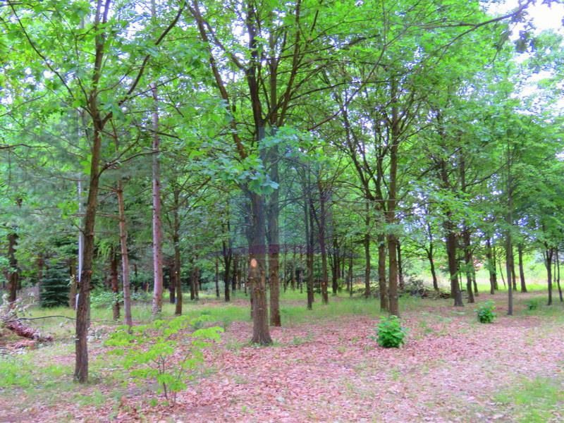 Zdjęcie do wpisu: Szukanie tego idealnego